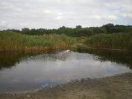 М'якеньківка з panoramio.com