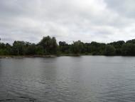 Чернявка з panoramio.com