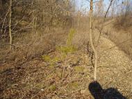 Червоний Лиман - Останні фото