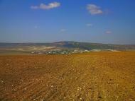 Севастянівка з panoramio.com