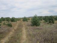 Паланки з panoramio.com