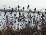 Оришківці з panoramio.com