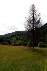 Майдан з panoramio.com