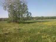 Катеринівка з panoramio.com