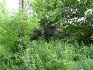 Семереньки з panoramio.com