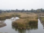 Малозименове з panoramio.com