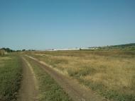 Островського з panoramio.com