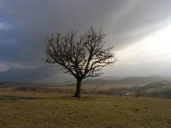 Сонячносілля з panoramio.com