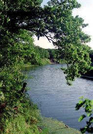 Вільне з panoramio.com