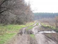 Морозівка з panoramio.com - Morozivka