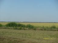 Долинське з panoramio.com