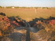 Левадки з panoramio.com