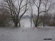 Мовники з panoramio.com