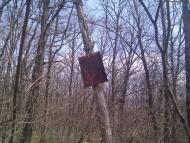 Черкаські Тишки з panoramio.com