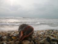 Круглоозерка з panoramio.com