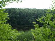 Руські Тишки з panoramio.com