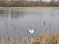 Саша з panoramio.com