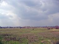 Валуйське з panoramio.com