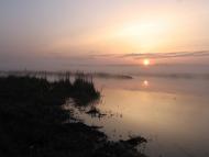 Куна з panoramio.com