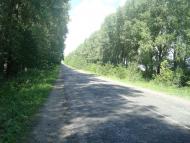 Михалківці з panoramio.com