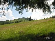 Прокурава з panoramio.com