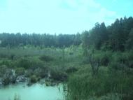 Савичі з panoramio.com