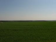 Трубочка з panoramio.com