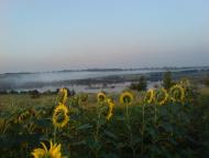 Мироновка - Последние фото