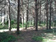 Торф'яне з panoramio.com