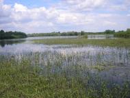 Велике Устя - Останні фото