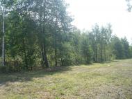 Білотин з panoramio.com