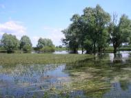 Велике Устя з panoramio.com