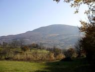 Пасіка з panoramio.com