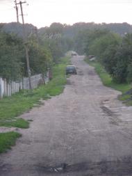 Бережне з panoramio.com