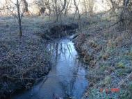 Добротимофіївка з panoramio.com