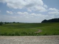 Осташки з panoramio.com