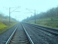 Рідкодуби з panoramio.com