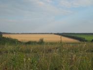 Орловка - Последние фото