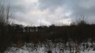 Ярок з panoramio.com - Ярок