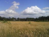 Макухівка з panoramio.com