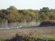 Повстин з panoramio.com