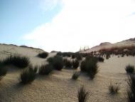 Подо-Калинівка з panoramio.com