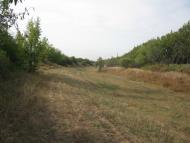 Петровеньки з panoramio.com - Петровеньки