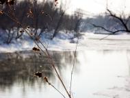 Артема з panoramio.com