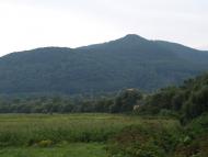 Пасіка з panoramio.com