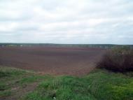 Вишняки з panoramio.com