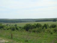 Романівка з panoramio.com