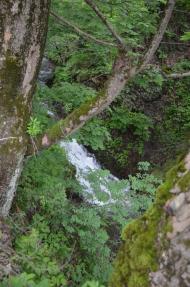 Ластівка з panoramio.com