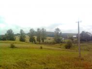 Чишки з panoramio.com