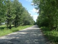 Малиничі з panoramio.com